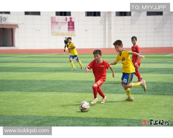 国家培养的足球明星如何影响青少年体育发展与国家形象提升 国家培养的足球明星如何影响青少年体育发展与国家形象提升